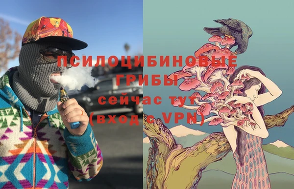 mdpv Дмитриев