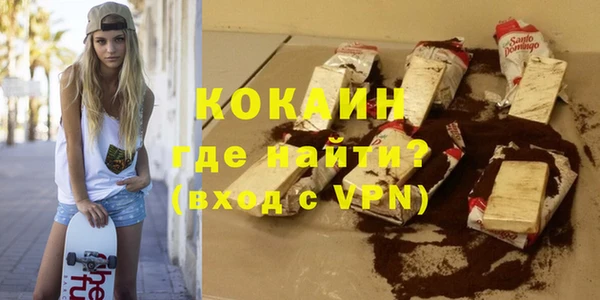 твердый Ельня