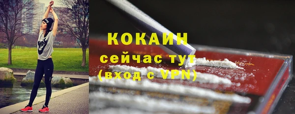 mdpv Дмитриев