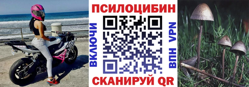 Псилоцибиновые грибы Psilocybine cubensis  ОМГ ОМГ ссылка  Обоянь  купить наркотики сайты 